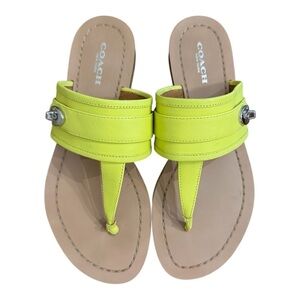 Coach Women's Eileen Sandal in Glo Lime